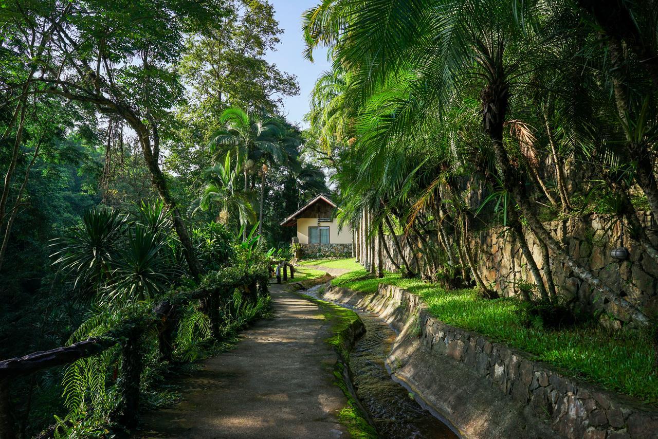 Phutarntree Resort Chiang Mai Bagian luar foto