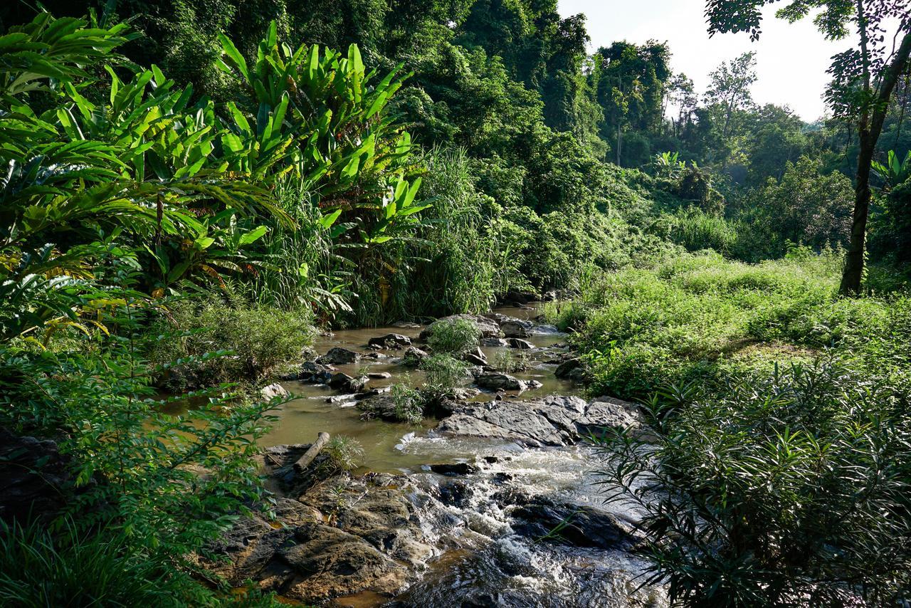 Phutarntree Resort Chiang Mai Bagian luar foto