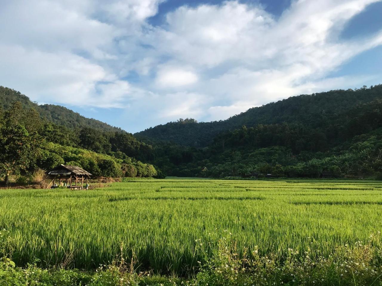 Phutarntree Resort Chiang Mai Bagian luar foto