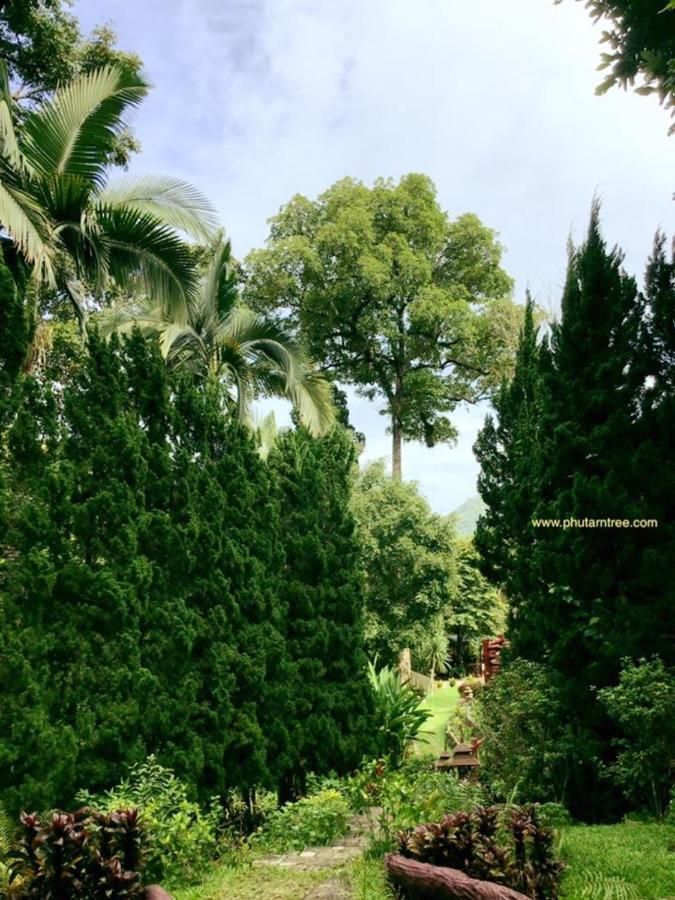 Phutarntree Resort Chiang Mai Bagian luar foto